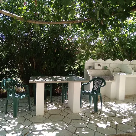 Sarantakis * Agios Andreas (Messenia)