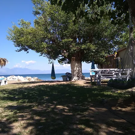 Sarantakis * Agios Andreas (Messenia)