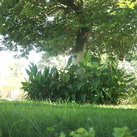 Lägenhet Sarantakis *