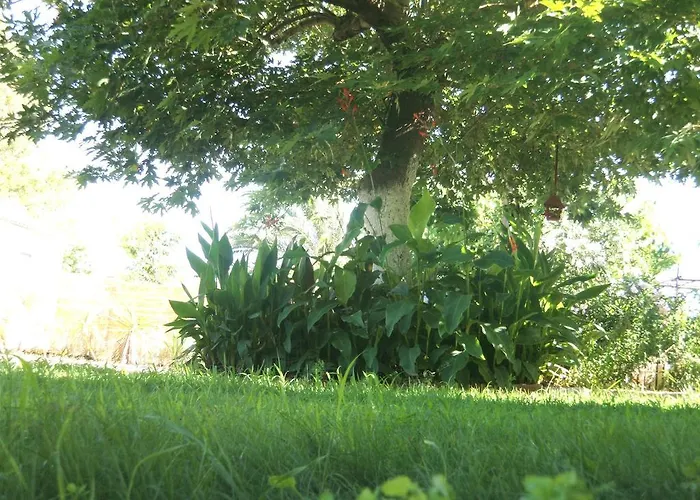 アパート Sarantakis *